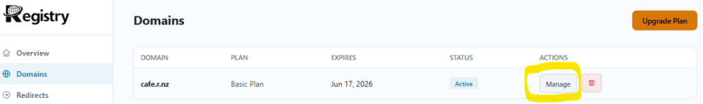 r.nz premium domain name dashboard